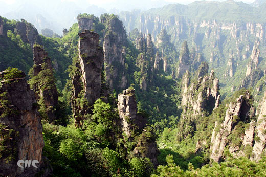 ���ҽ�����΃�(y��u)��ͨƱ�������N(xi��o)�����g�ɽ硱