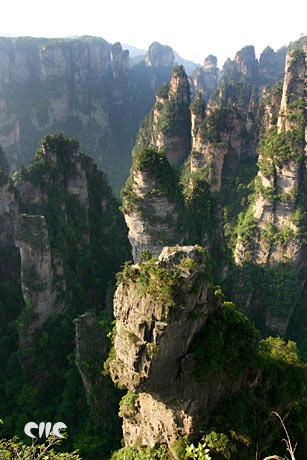 ���ҽ�����΃�(y��u)��ͨƱ�������N(xi��o)�����g�ɽ硱